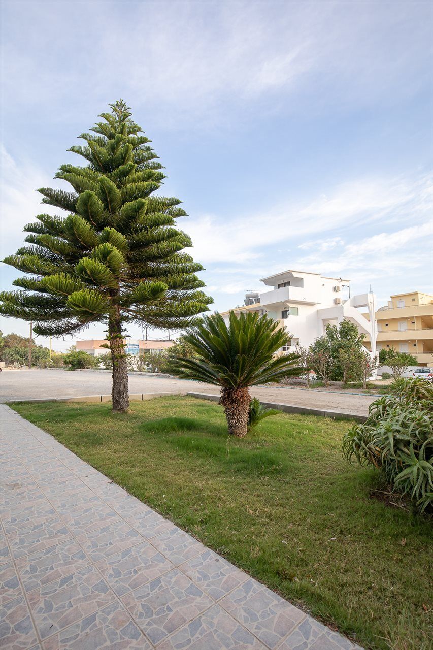 Faliraki Dream Studios & Apartments Dış mekan fotoğraf